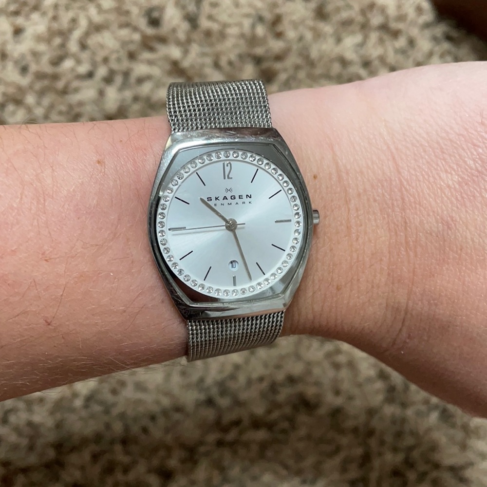 Skagen Watch